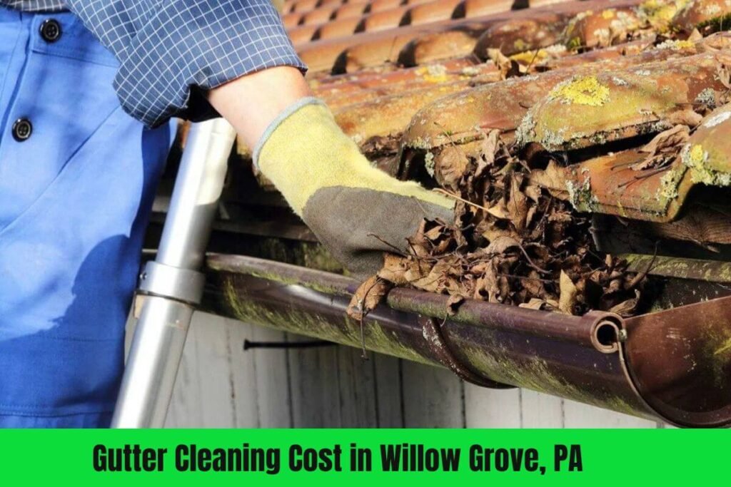 How Much Gutter Cleaning Cost in Willow Grove, PA | 2025 Guide by Expert - Techno Group Pro