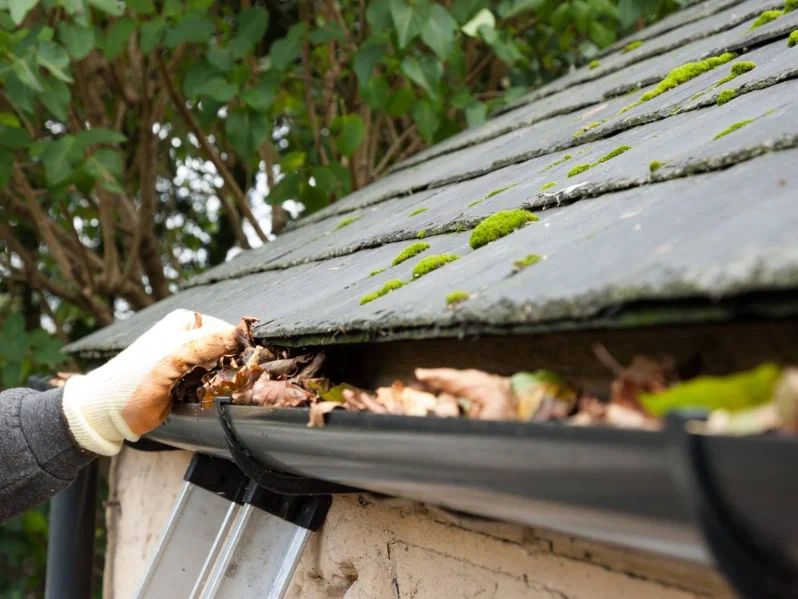 Importance of Cleaning Gutters from the Ground