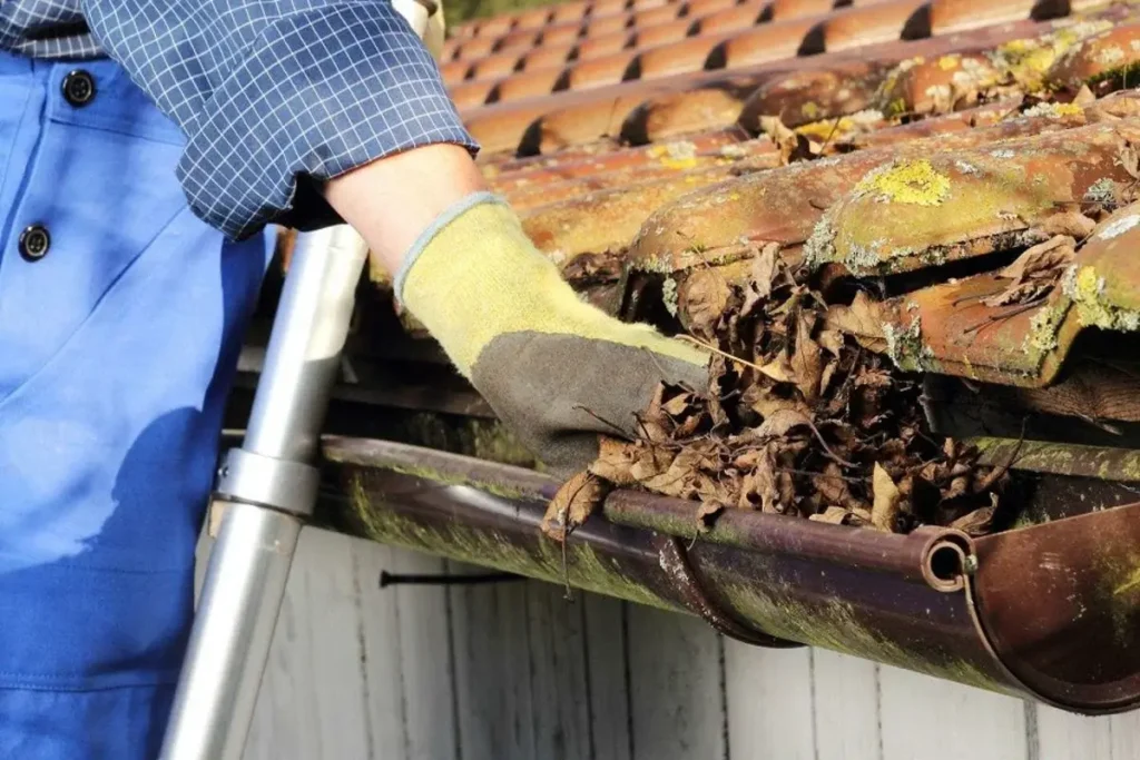 Safety Tips for Cleaning Gutters by Techno Group Pro