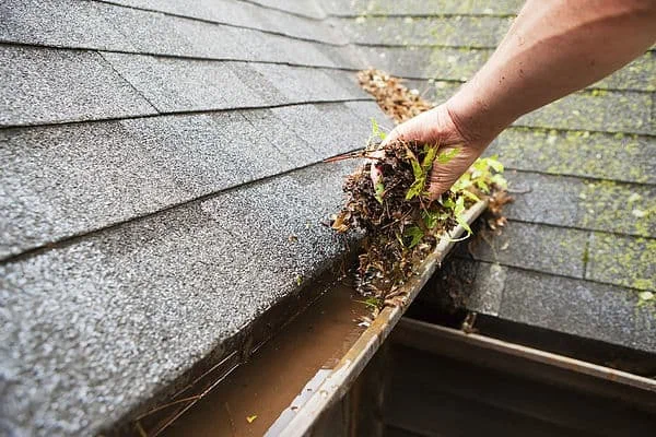 Why Is Gutter Cleaning So Important? Techno Group Pro